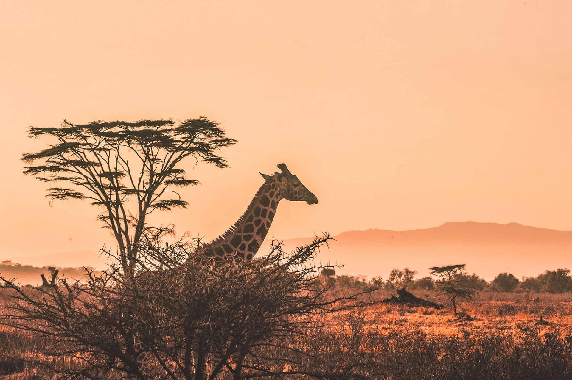 15 Most Amazing & Beautiful Towns from All Around the World 1 harshil gudka kfxEUCTUeyg unsplash