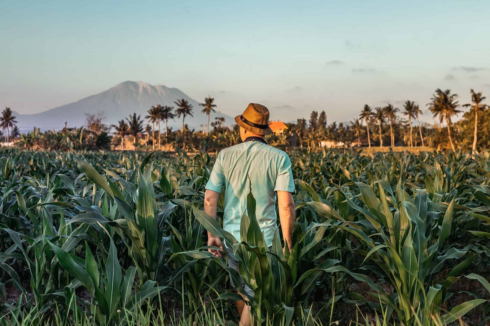 The Best Destinations for Solo Travel 1 pexels artem beliaikin 2326837